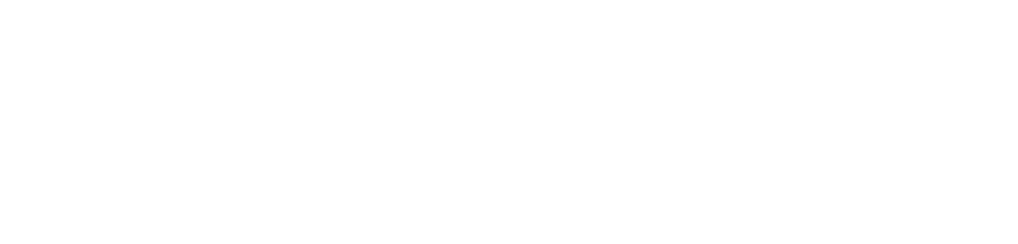 nexora logo